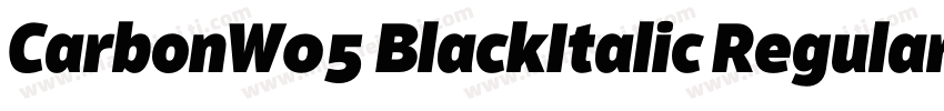 CarbonW05 BlackItalic Regular字体转换